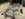 2048A50C-0B84-43E1-B125-B82FEE9750CB.jpeg
