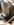 13ED5489-F999-47FB-853E-484E6F875508.jpeg