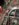 24833441-3993-4DF6-85F2-D24B4563B7F4.jpeg