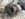 7ABC04AF-7626-4245-A7C7-0FD8A48CB6F1.jpeg