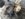 1CDF790A-6834-40DD-9377-22D15912E8C9.jpeg