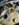 7580A6EE-1880-4C86-B453-CCFEB931E431.jpeg
