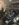 1DBD45FC-CB98-40D9-95F8-53570EBA7C85.jpeg