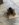 4D20D6EB-7489-4CBE-966B-F62DE0DA53FF.jpeg