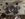 IMG_2770.jpeg