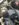556C6044-3AA0-4924-874E-9218F76857C1.jpeg