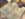 AA6A5EF5-2D5D-41B1-B356-E3DAD6982C85.jpeg