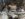 9E2CB8E1-8466-4910-AFA0-13C107305E2A.jpeg
