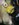 7E0801DE-4DA7-4646-B06C-07DD1D3C2089.jpeg