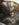 43B6CC66-D293-4436-B23A-326B0A54D93C.jpeg