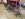 A775D40F-8422-4AAF-B307-A3D9DF9DD484.jpeg