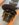 F6EE7BB9-9396-4D7A-AF39-CFA65F390335.jpeg