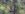 48458503-59DE-406B-BCB2-88244C305B74.jpeg