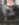 B184B0DE-A5A9-4FBA-B844-495C7683998A.jpeg