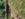 3AC86BC0-65FE-4288-B1EC-1696B58C04E3.jpeg