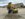 63017.jpeg
