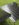 7196E1B7-76E2-4FD0-931B-34062F885334.jpeg