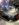1017EB9D-901D-4405-A95A-D40A6919F09A.jpeg