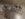 MVIMG_20200311_194719.jpg