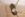 mouse chewed wires.jpg