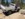 1CD0C848-87FC-4DC8-BA92-7BACF1D7BE26.jpeg