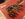 8A8A3A1B-83C6-4AC7-9BEB-2B6249CA7818.jpeg