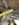 8154532B-9A2E-40B7-8A90-58522D49BDF2.jpeg