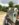 ADB20626-B79D-4487-B2AB-EC5577433CA6.jpeg