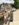 6CF3C659-8F48-461D-8882-B36FB16509AE.jpeg