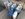36C1268B-1861-41DB-9C6A-45F948C8145B.jpeg