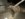 EA0772D3-8E71-49EF-B8F9-1C772F75DB50.jpeg