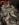 464A9B41-927D-4D42-9CF5-1E69581BAB15.jpeg 464A9B41-927D-4D42-9CF5-1E69581BAB15.jpeg