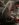 CD9F05CD-CE77-42C3-9CBB-0A485DD28C75.jpeg CD9F05CD-CE77-42C3-9CBB-0A485DD28C75.jpeg