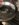 98541B99-02CF-4BF2-992D-414E8BFC1D03.jpeg 98541B99-02CF-4BF2-992D-414E8BFC1D03.jpeg
