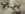 43B734A1-BA77-4ECB-973A-3446B9401B30.jpeg