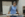 JampackedAlertEider-max-1mb.gif