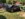 4D7730DD-E686-4C72-BC03-56698CCD7609.jpeg