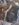 7AF4D348-DDE6-4190-80B8-ED491C8BE895.jpeg