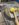 6239C2BC-7319-458F-B171-0662F32B0DAE.jpeg