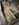 5D6EDC0E-9FCA-41B2-A307-2CCA8781AA39.jpeg
