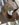 A706C9BB-7B4D-4661-9B60-B84B686F17B2.jpeg