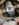4B1134AA-2B8D-4AB8-A977-779D3FFEA4AD.jpeg