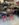 720EBE5C-9C0B-4D78-B120-436761345138.jpeg