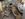 B2E5CEC6-BA38-4CA5-86FD-05F21C323C01.jpeg
