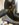 3D02B8BB-3DA6-4783-A44C-17E30DF0FDEB.jpeg