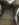 FFAF70D9-77C3-4C5E-9BA3-66E8D1D92852.jpeg