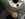 B847E8E8-E480-4166-9C73-CD07A179A1D7.jpeg