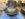 F171450B-6741-4008-B1CC-9640FC824256.jpeg