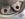 EA780EF3-8F85-43F5-BFD3-BC75ADB3434B.jpeg