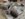 AAD1DD60-74E0-4904-A99E-D78023810C24.jpeg